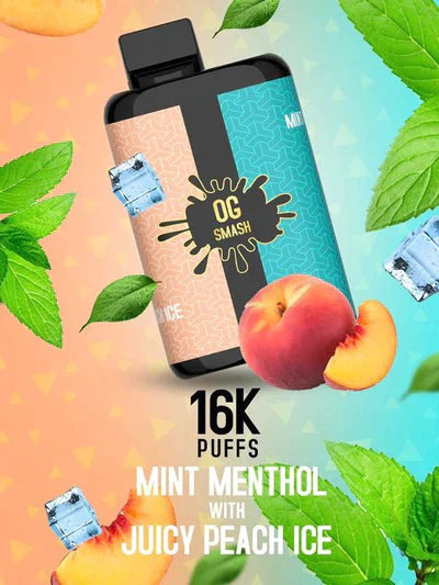 16000 Vape Duo Mint menthol & Juicy Peach Ice